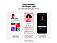 Bento.me templates