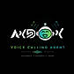 Voice calling agent