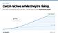 Daily trends: spot rising niches early