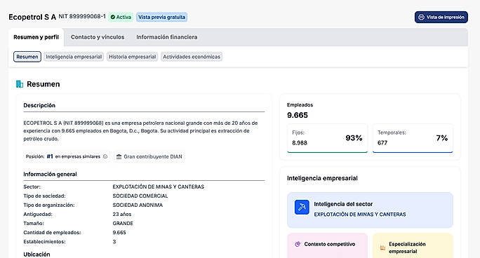 Detailed company profile view showing description, size, and economic activity