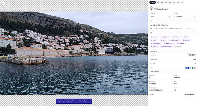 Asset detail view showing AI-generated tags, image specs, camera settings, and metadata extraction.