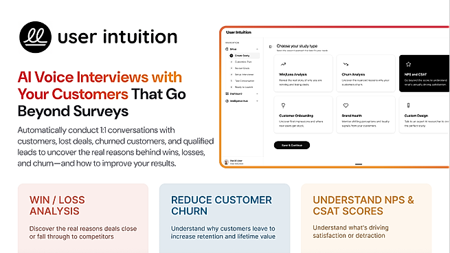 User Intuition Screenshot