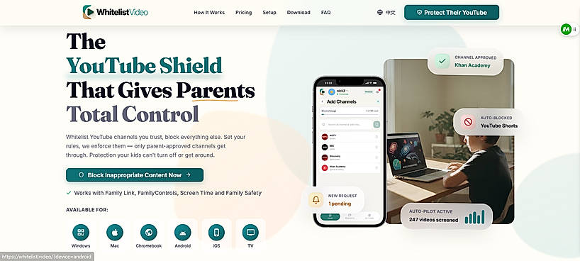 Website Interface