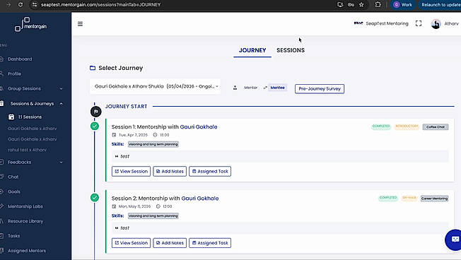 Mentoring Journey