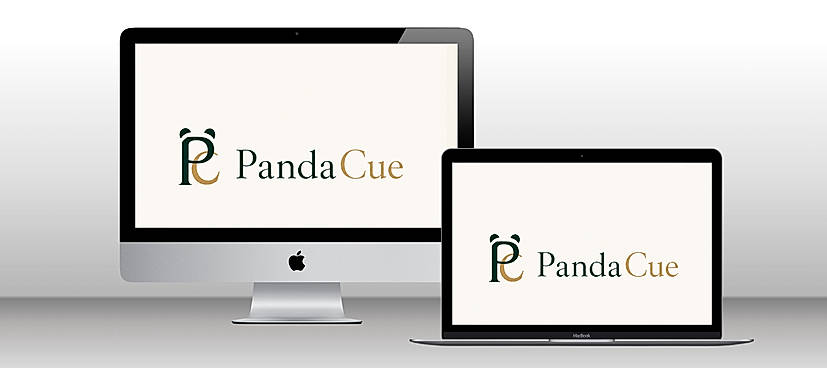 PandaCue - Salon & Spa Management Software