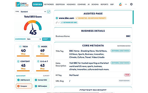 Check Page SEO Dashboard