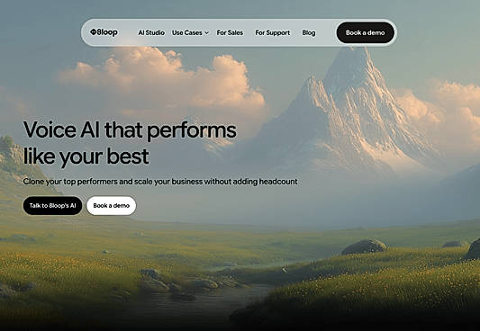 Website homepage