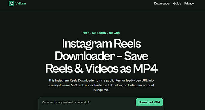 Vidlune — simple public video downloads