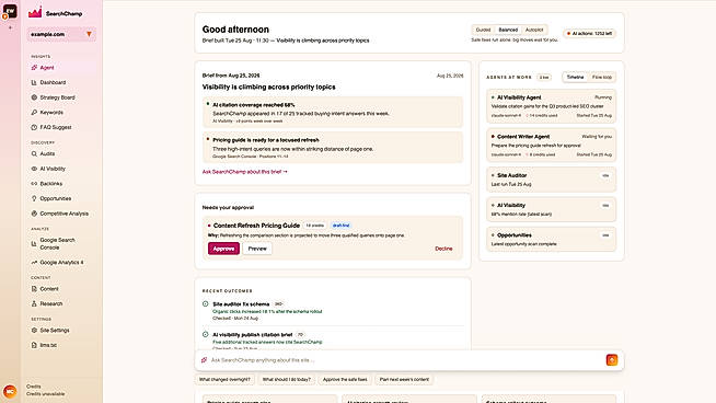 SearchChamp product dashboard