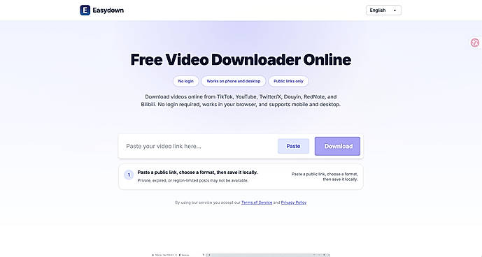 Free browser downloader — separate from the paid developer API