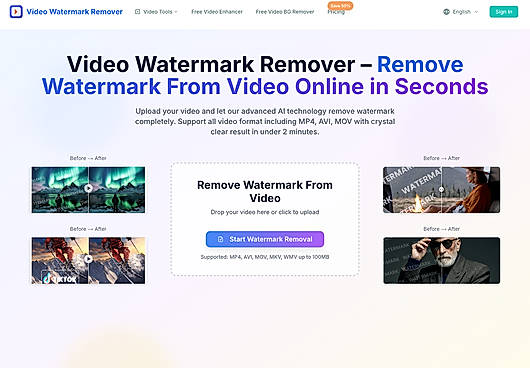 Video Watermark Remover workspace