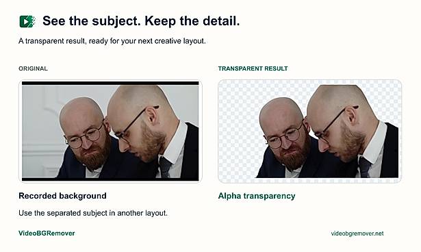 Real video background removal comparison