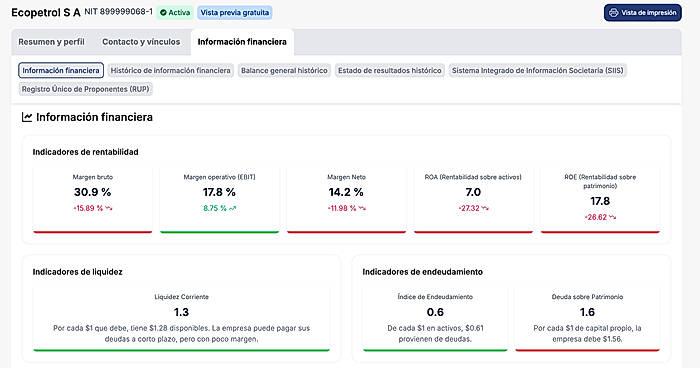 Financial health dashboard showing profitability and debt indicators