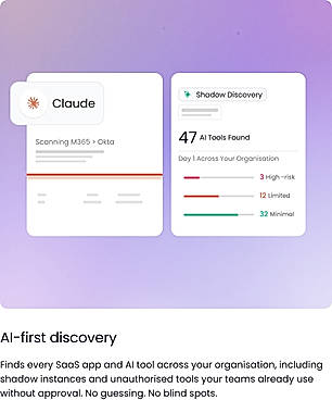 Shadow AI Discovery