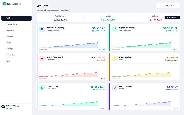 "Connect and manage all your bank accounts, credit cards, cash, and crypto wallets in one place with live balance tracking."