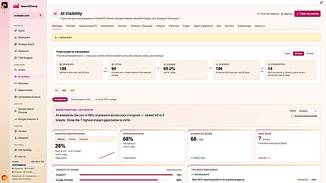 SearchChamp website audit interface