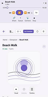 Audio session player