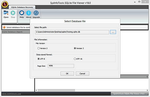 Click Open to select a database file and click OK to begin the scanning process.