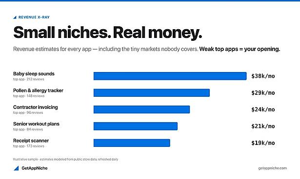 Revenue estimates for small app niches