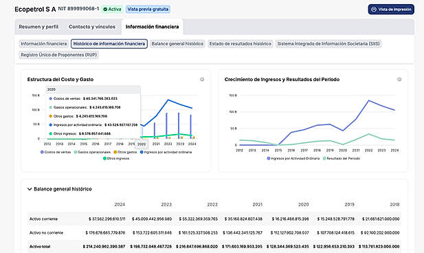 Historical financial data view with cost structures and annual growth charts