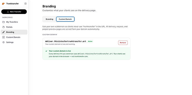 Deliver files with your own domain