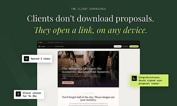 Clients don't download proposals