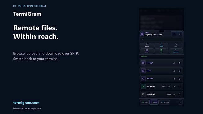 SFTP file manager for remote server files