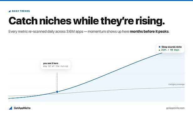 Daily trends: spot rising niches early