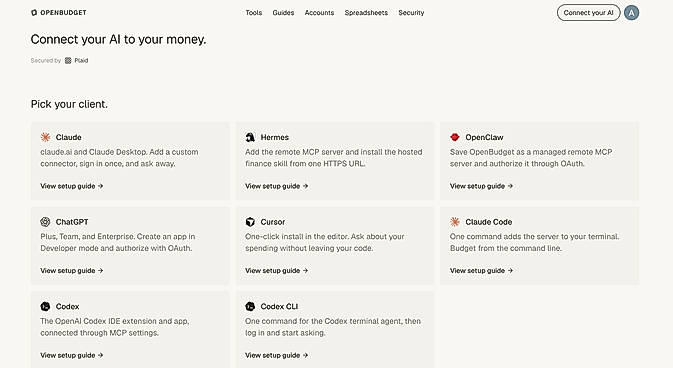Setup: connect your bank, then your AI