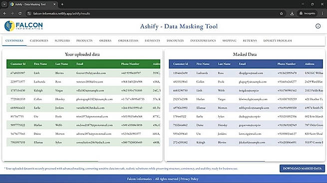 Masked Data with Original Data Sheet Comparison & Download  Compare your original uploaded data with the masked data in a side-by-side view, making it easy to review changes. Once verified, you can download the masked data as an Excel file for secure use.