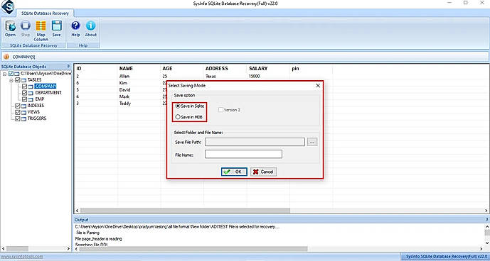 Click Save to choose the saving format(Sqlite or MDB).