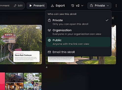 Present live or share publicly