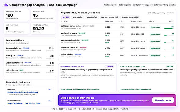 Competitive Intelligence (Identify competitors search terms, find gaps and read their ads)