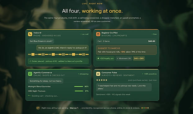 Consumer AI