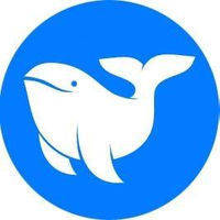 Whale Software logo