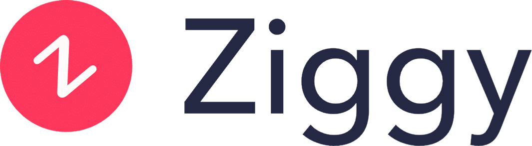 Ziggy logo