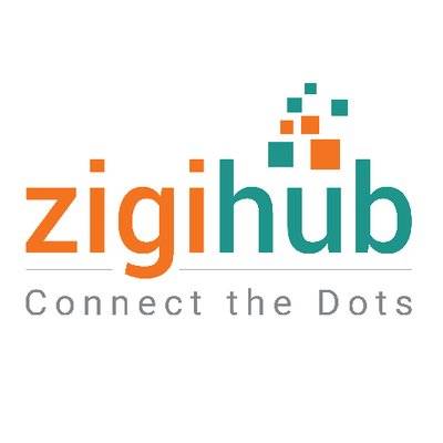 zigihub logo